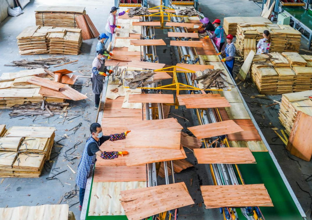 总投资额约106亿元 广西闽桂木业生态产业城已有28家企业入驻