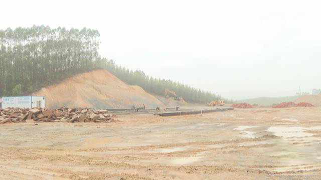 广西鹿寨打造林业产业高质量发展示范样板